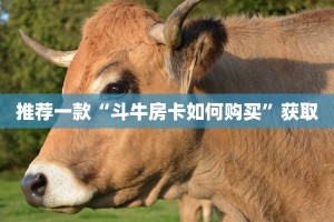 推荐一款“斗牛房卡如何购买”获取