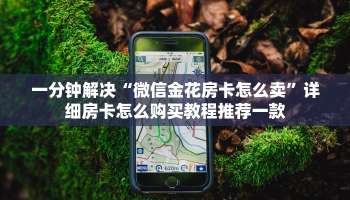 一分钟解决“微信金花房卡怎么卖”详细房卡怎么购买教程推荐一款
