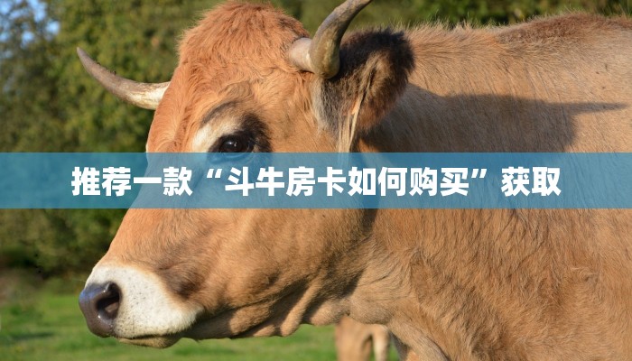 推荐一款“斗牛房卡如何购买”获取